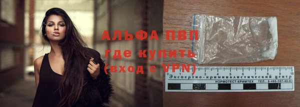 PSILOCYBIN Валдай