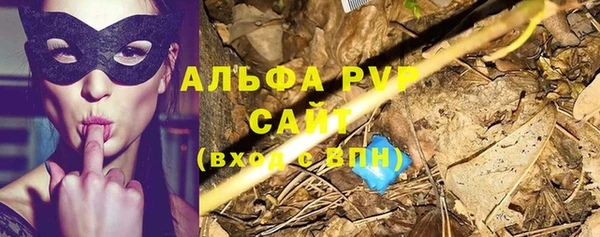 прущие грибы Бутурлиновка