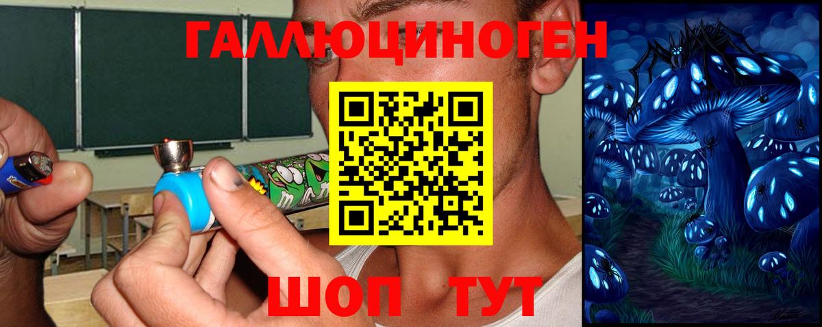 Галлюциногенные грибы Psilocybine cubensis Вязьма