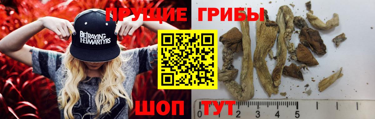 Псилоцибиновые грибы прущие грибы  Вход с VPN  Вязьма 